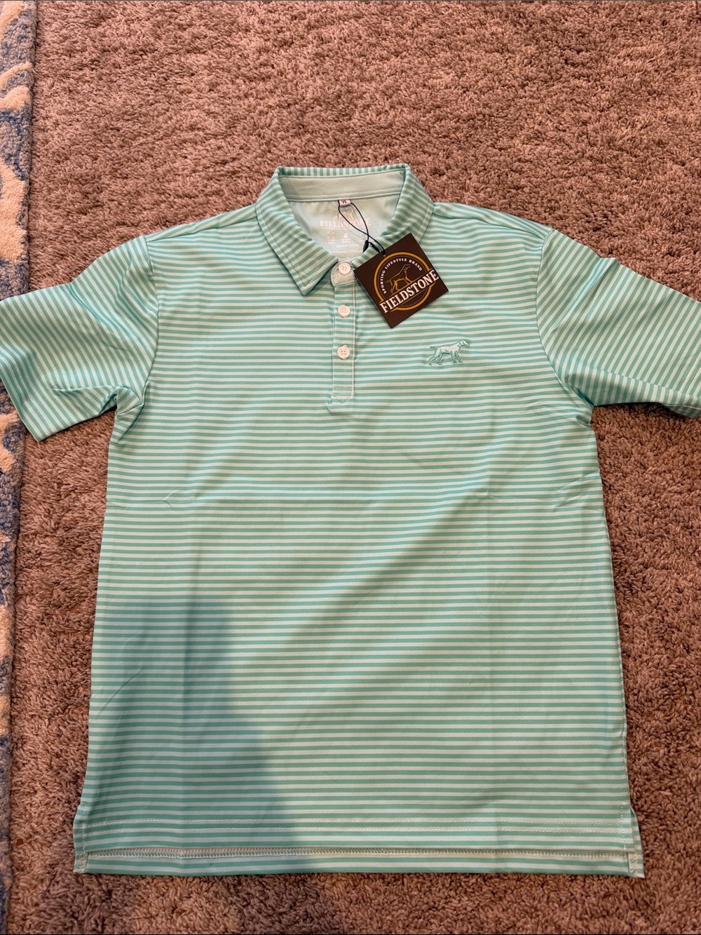 Fieldstone Boys' Mint Green Striped Polo